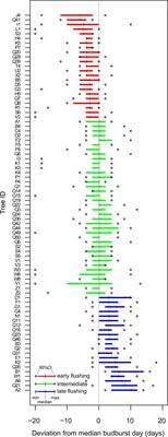 Inter-Individual Budburst Variation in Fagus sylvatica Is Driven by Warming Rate